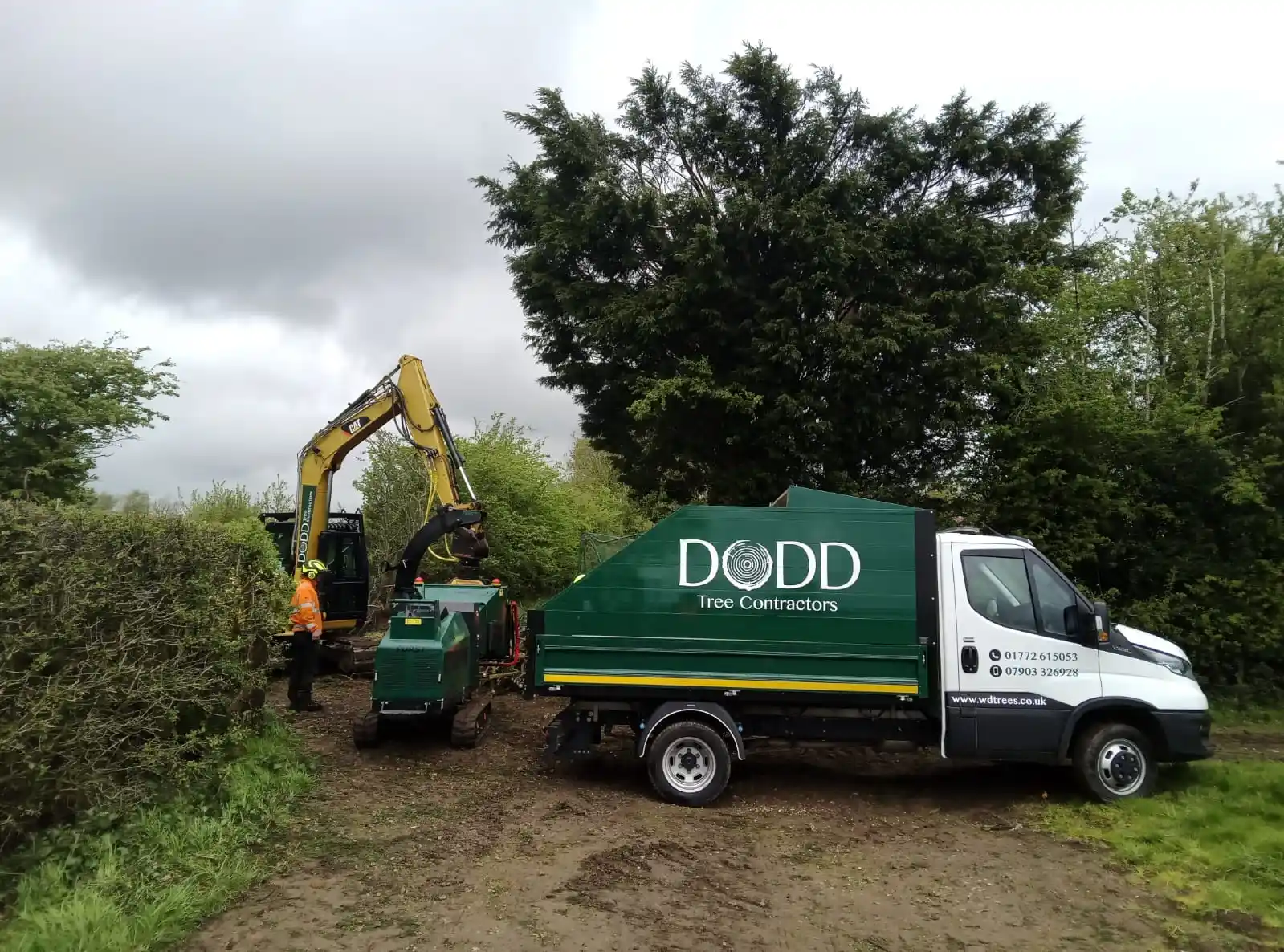 dodd tree contractors