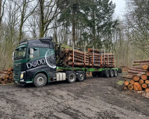 Haulage services
