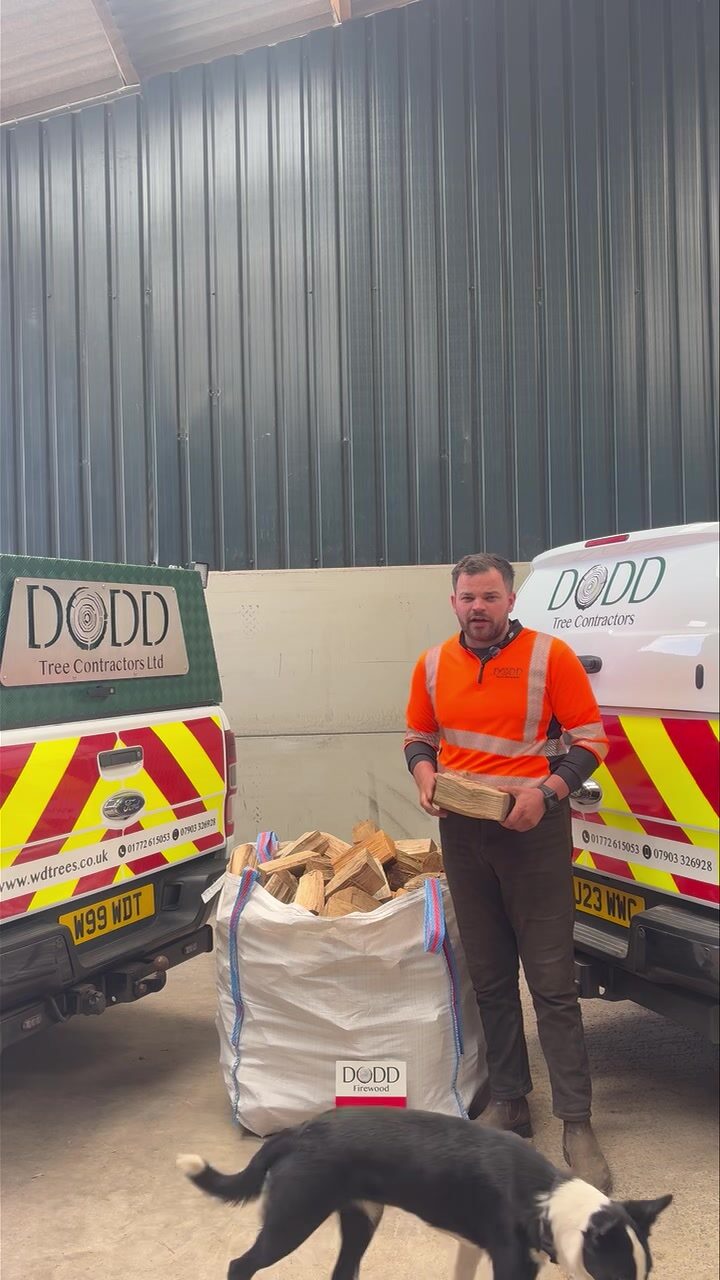 Instagram post from doddtreecontractors. This post is in position 4.