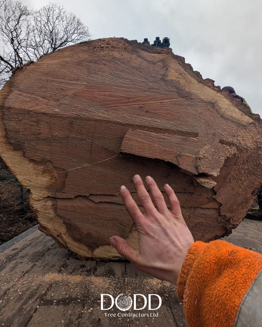 Instagram post from doddtreecontractors. This post is in position 1.