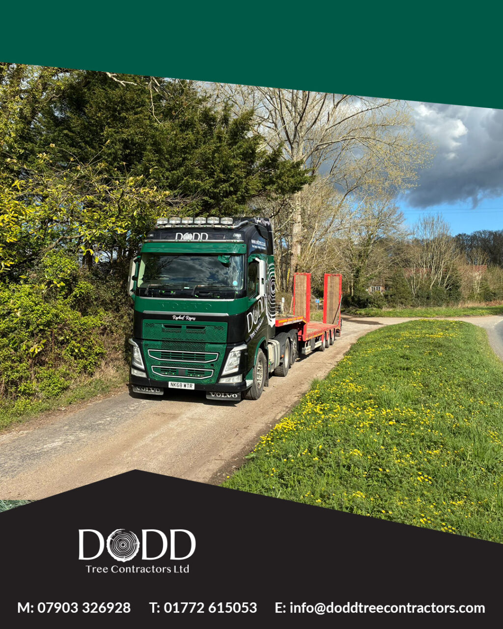 Instagram post from doddtreecontractors. This post is in position 0.