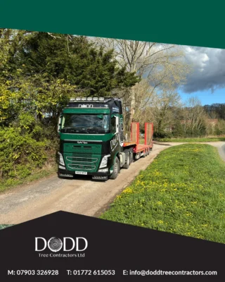 Instagram post from doddtreecontractors. This post is in position 5.