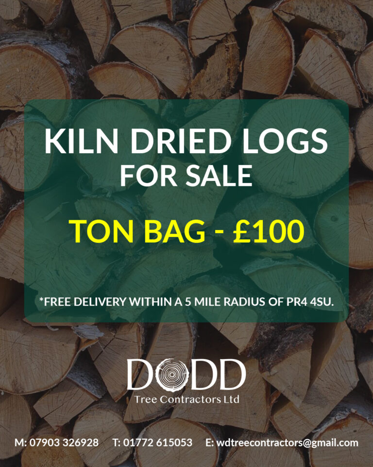 Instagram post from doddtreecontractors. This post is in position 1.