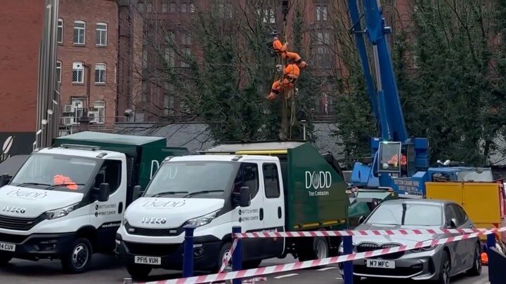 Instagram post from doddtreecontractors. This post is in position 11.