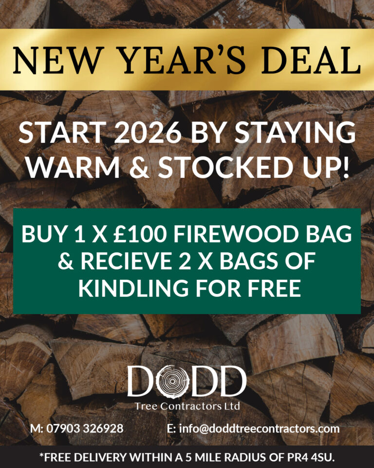 Instagram post from doddtreecontractors. This post is in position 2.