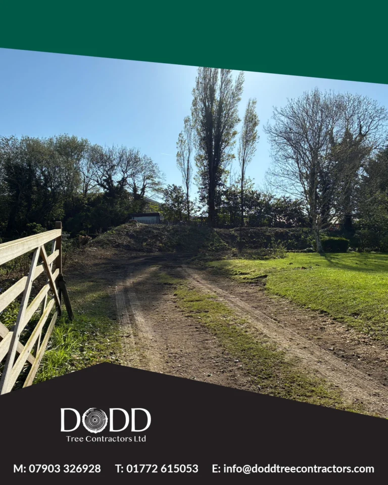 Instagram post from doddtreecontractors. This post is in position 2.