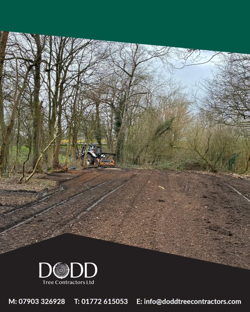 Instagram post from doddtreecontractors. This post is in position 1.