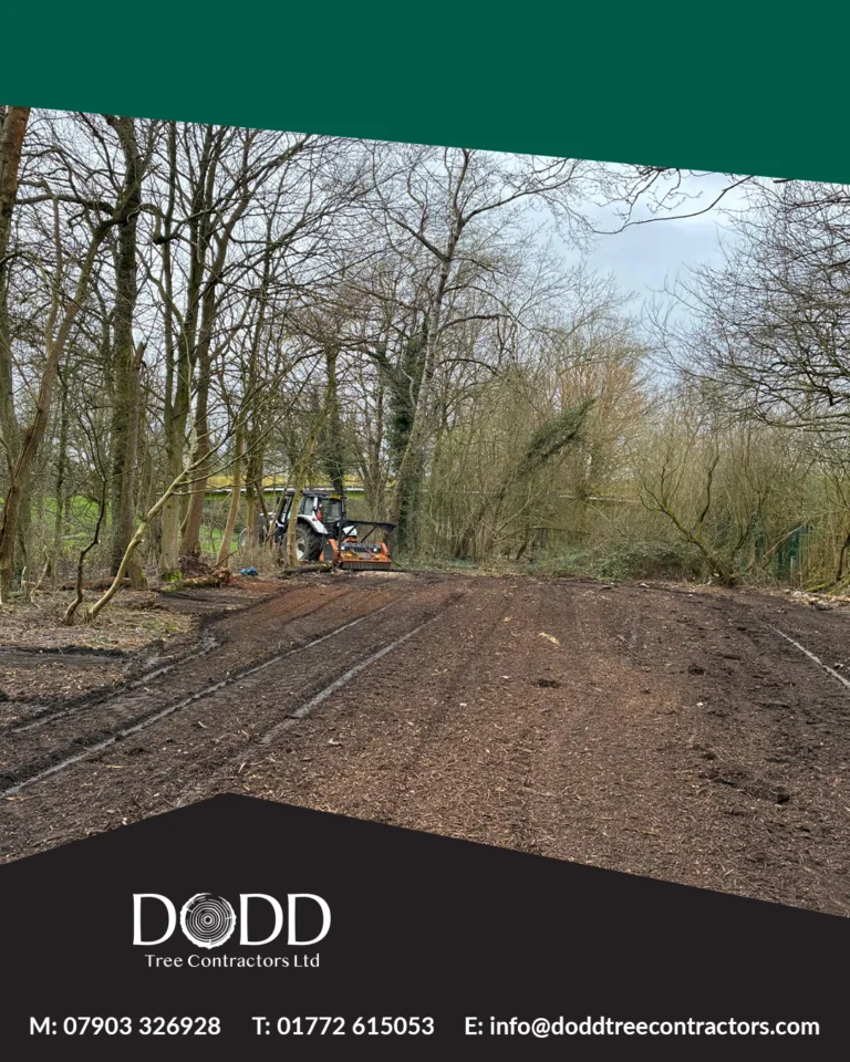 Instagram post from doddtreecontractors. This post is in position 1.