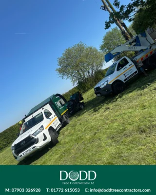 Instagram post from doddtreecontractors. This post is in position 4.