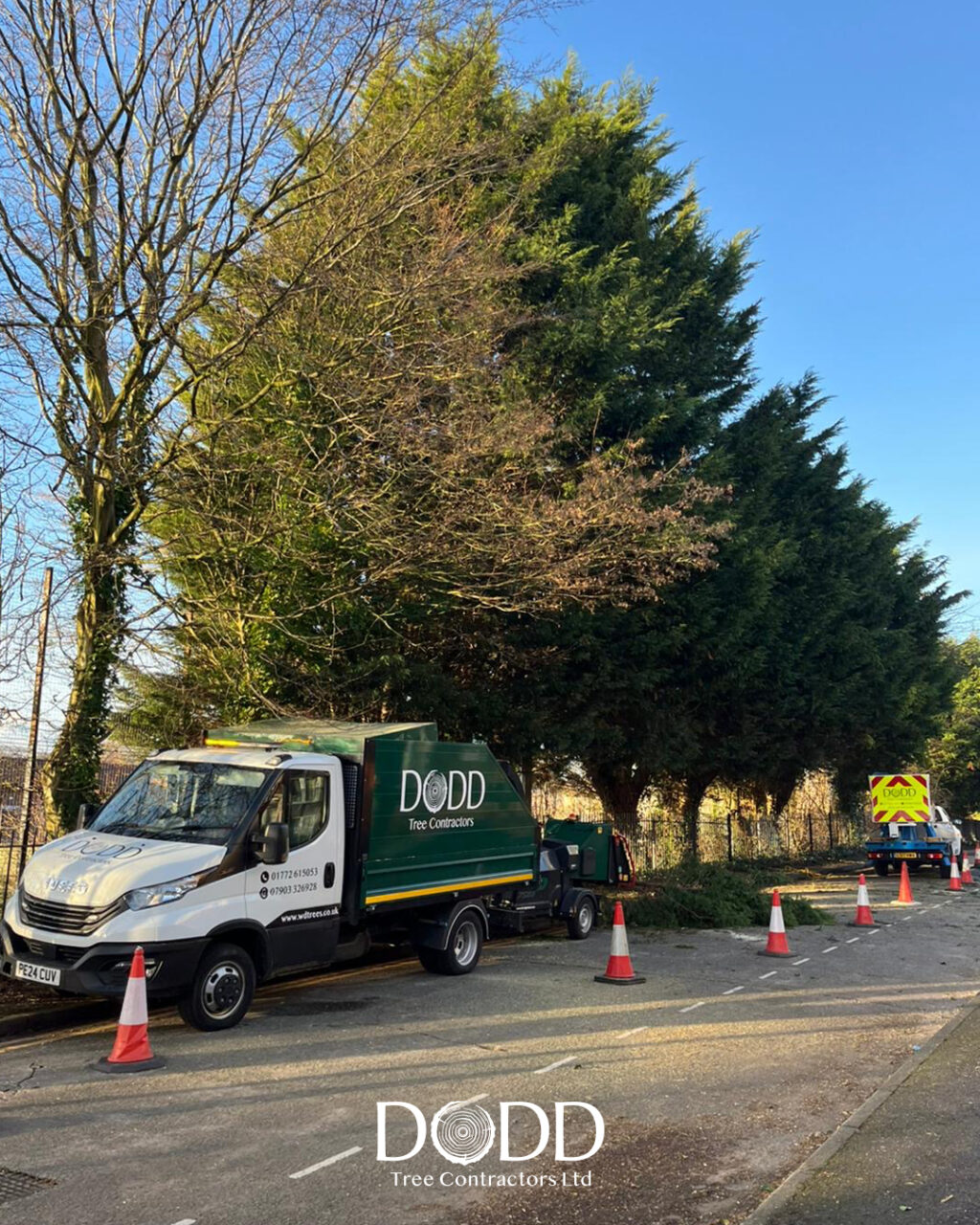 Instagram post from doddtreecontractors. This post is in position 0.