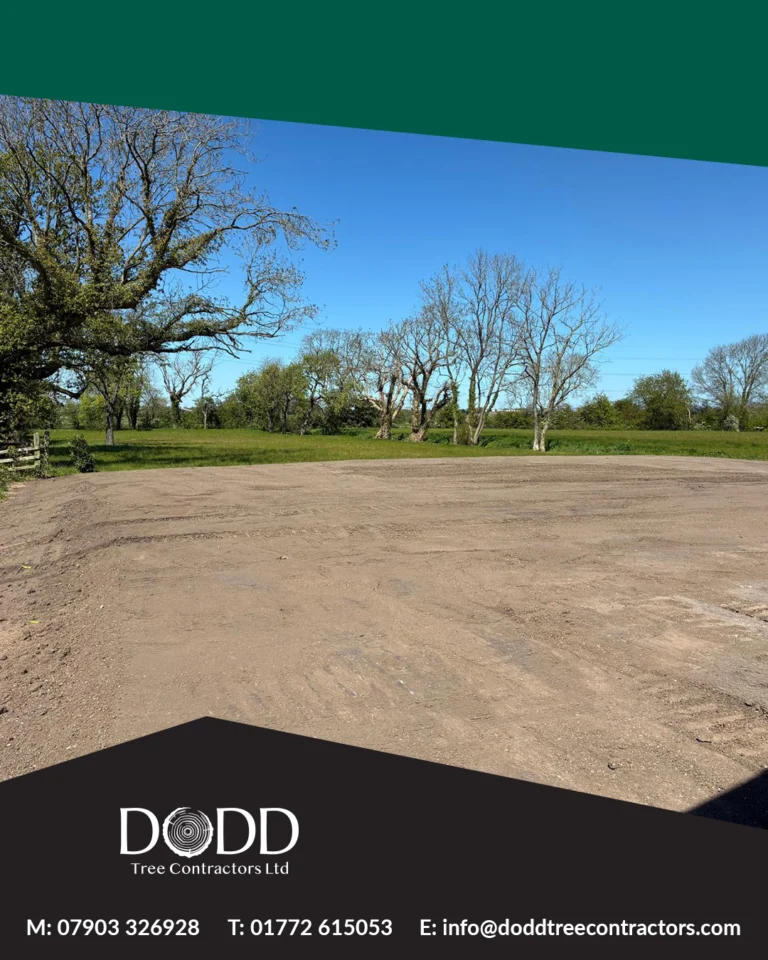 Instagram post from doddtreecontractors. This post is in position 2.