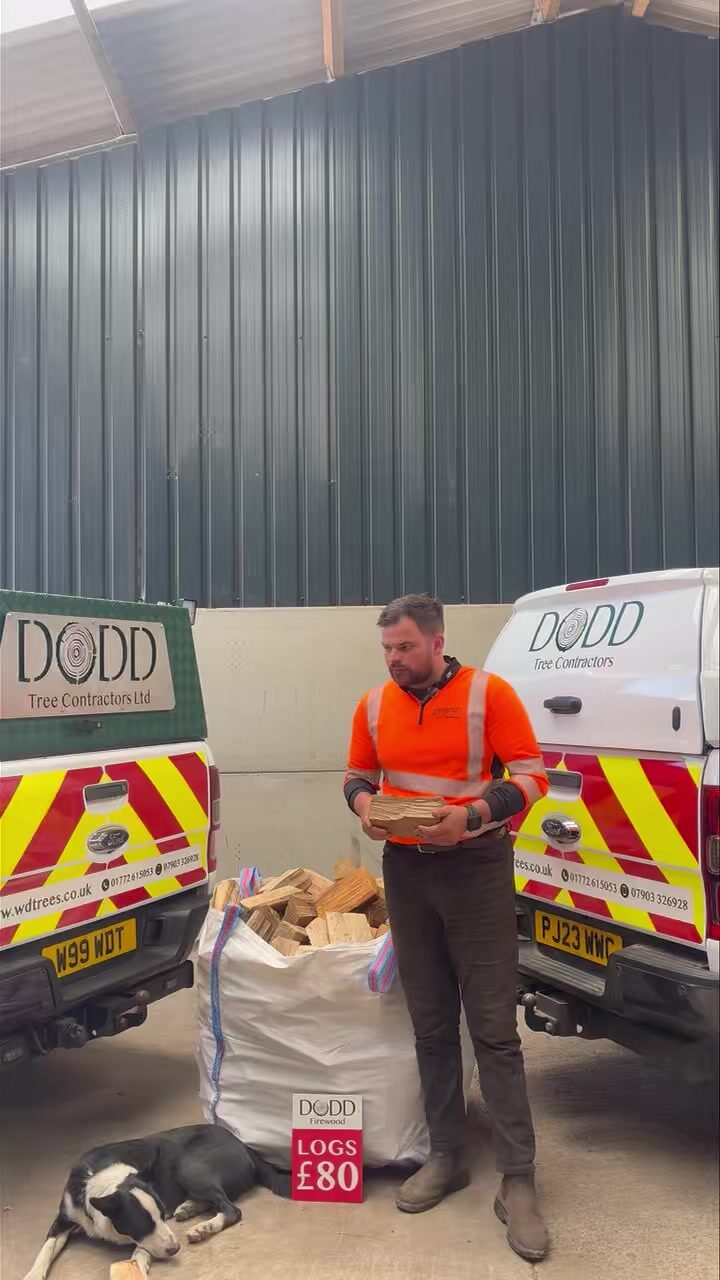 Instagram post from doddtreecontractors. This post is in position 7.