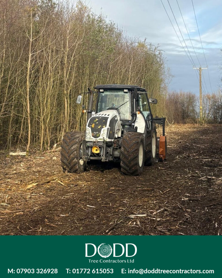 Instagram post from doddtreecontractors. This post is in position 1.