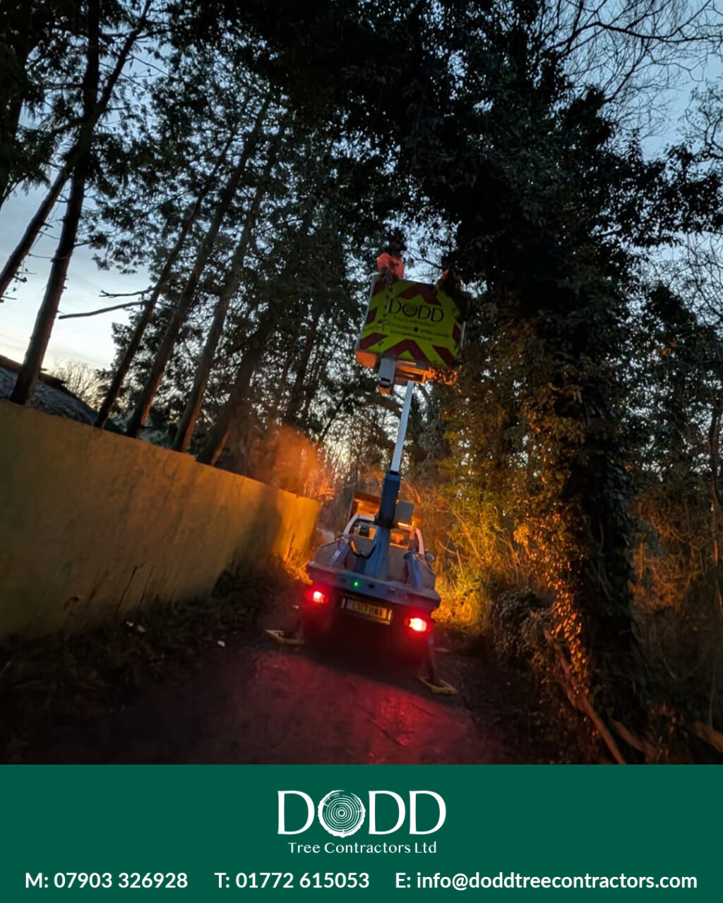 Instagram post from doddtreecontractors. This post is in position 0.