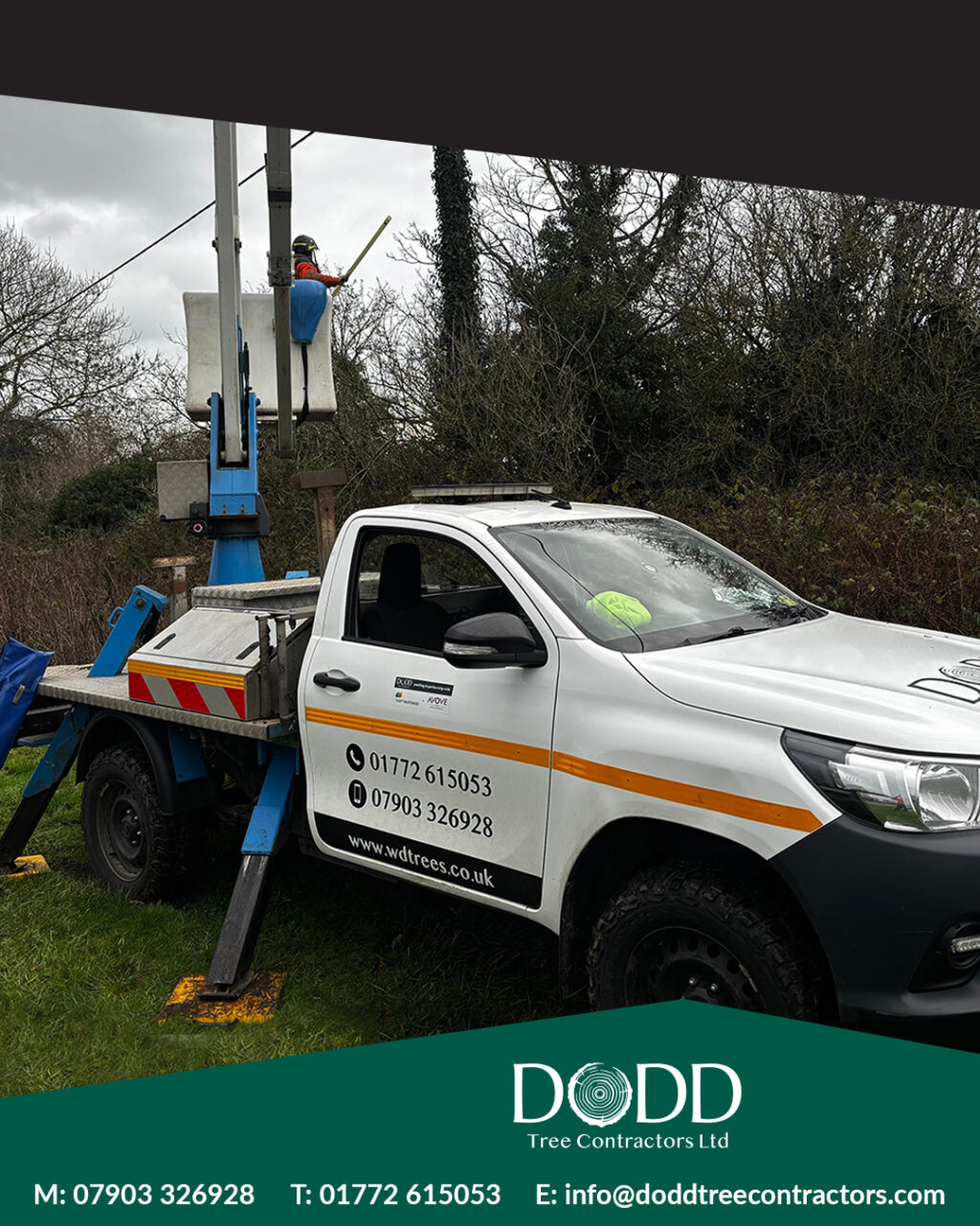 Instagram post from doddtreecontractors. This post is in position 0.