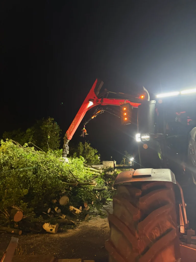 Instagram post from doddtreecontractors. This post is in position 0.
