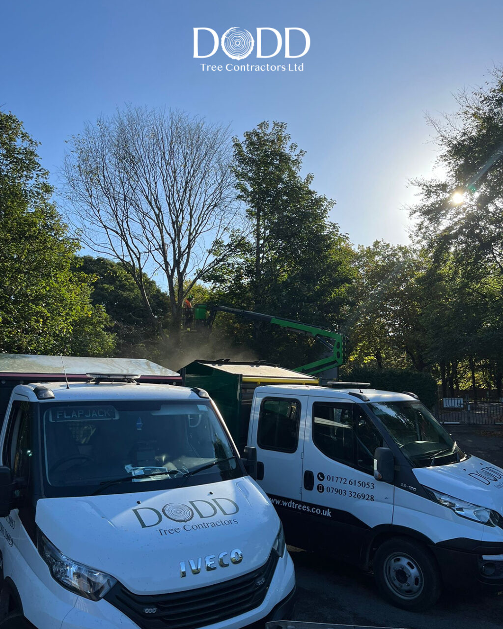 Instagram post from doddtreecontractors. This post is in position 5.