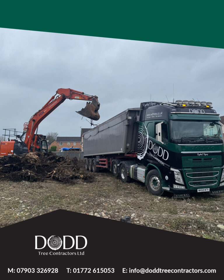 Instagram post from doddtreecontractors. This post is in position 4.