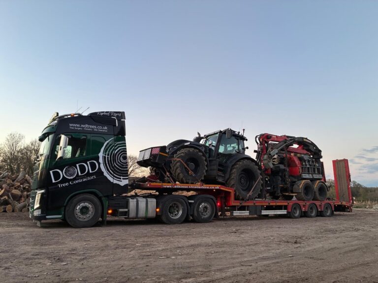 Instagram post from doddtreecontractors. This post is in position 2.