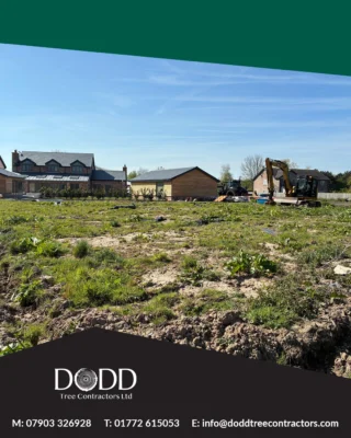 Instagram post from doddtreecontractors. This post is in position 5.