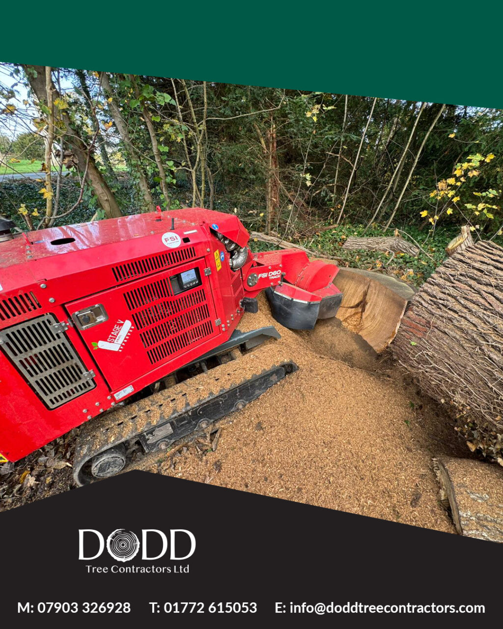 Instagram post from doddtreecontractors. This post is in position 1.