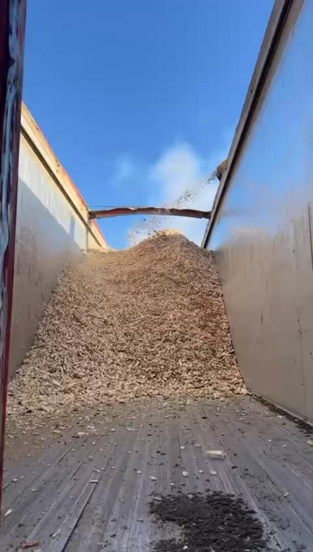 Instagram post from doddtreecontractors. This post is in position 12.