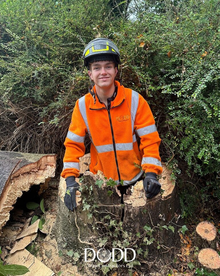 Instagram post from doddtreecontractors. This post is in position 9.