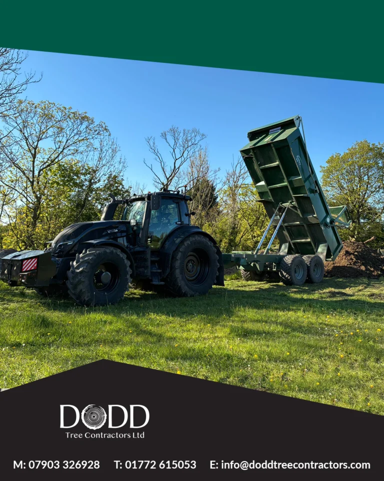 Instagram post from doddtreecontractors. This post is in position 0.