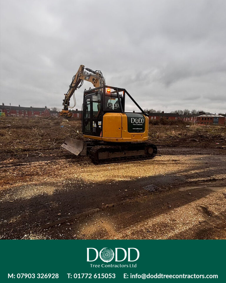 Instagram post from doddtreecontractors. This post is in position 1.