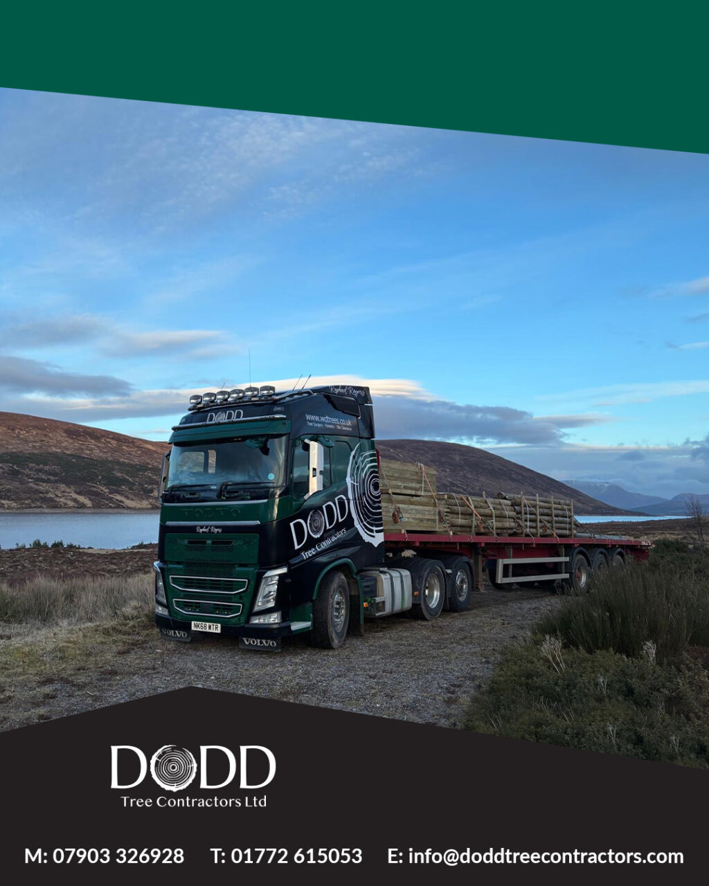 Instagram post from doddtreecontractors. This post is in position 0.