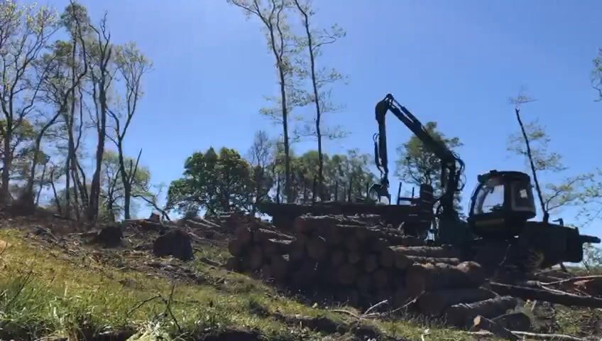 Instagram post from doddtreecontractors. This post is in position 2.