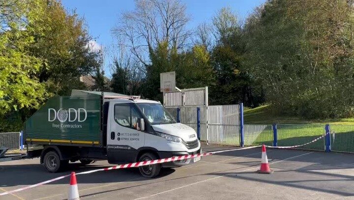 Instagram post from doddtreecontractors. This post is in position 20.