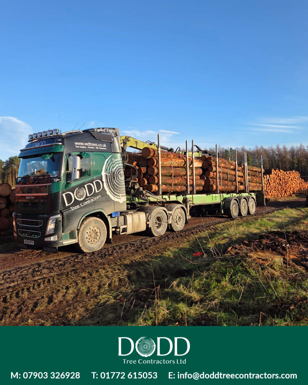 Instagram post from doddtreecontractors. This post is in position 0.