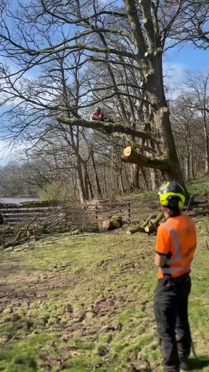 Instagram post from doddtreecontractors. This post is in position 12.