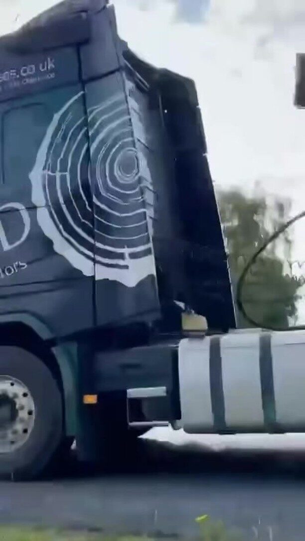 Instagram post from doddtreecontractors. This post is in position 0.