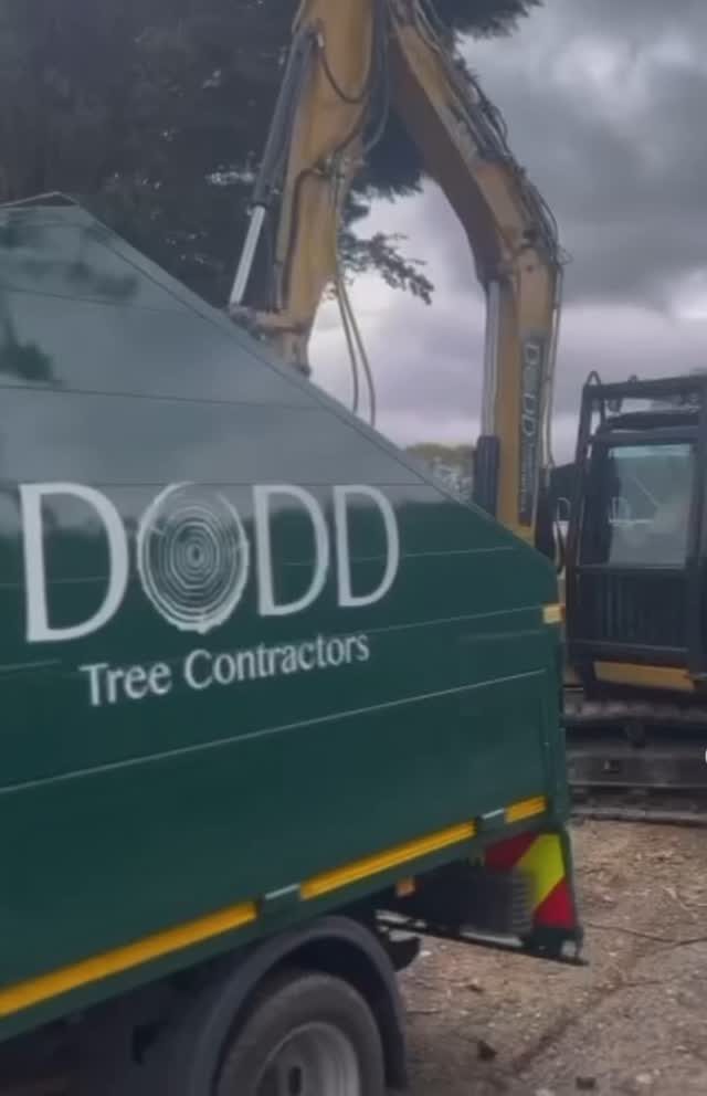 Instagram post from doddtreecontractors. This post is in position 2.