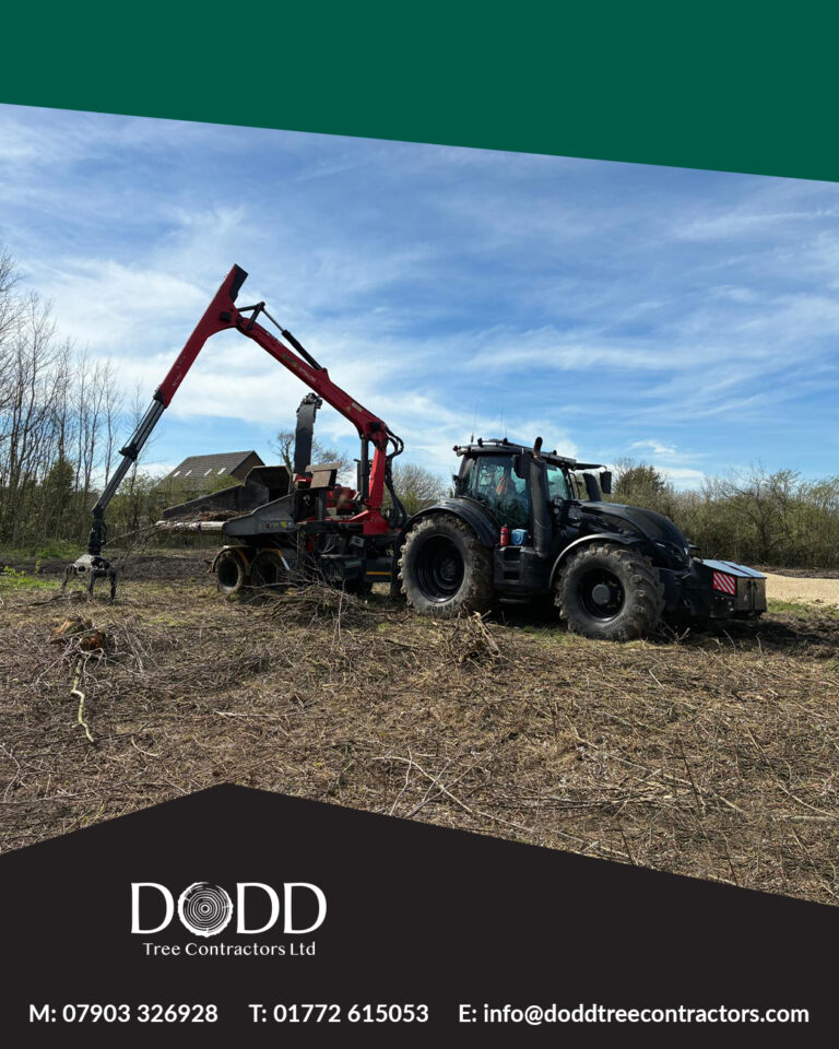 Instagram post from doddtreecontractors. This post is in position 1.