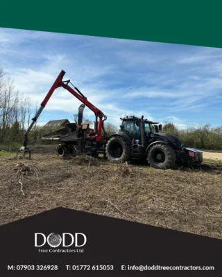Instagram post from doddtreecontractors. This post is in position 2.