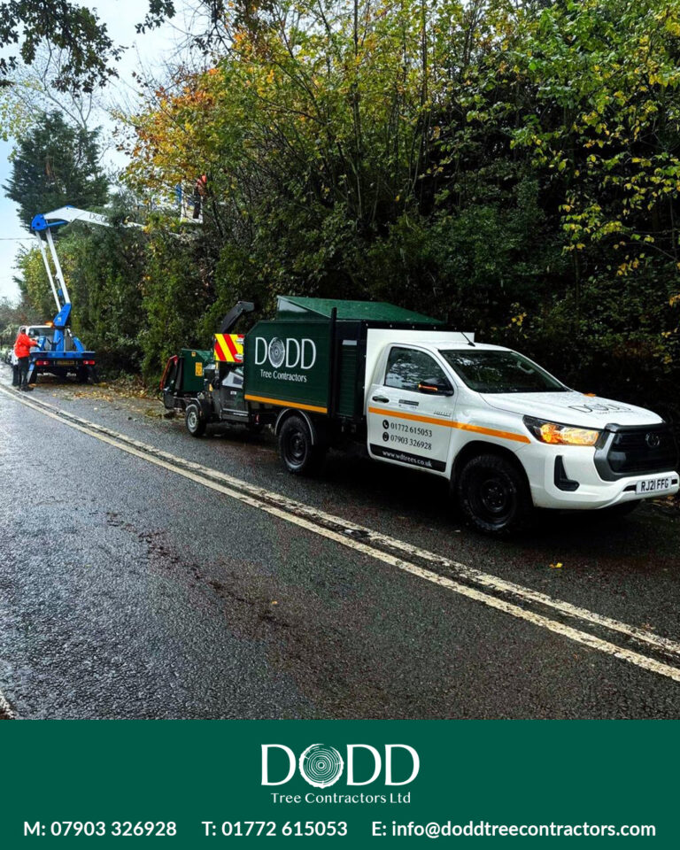 Instagram post from doddtreecontractors. This post is in position 1.