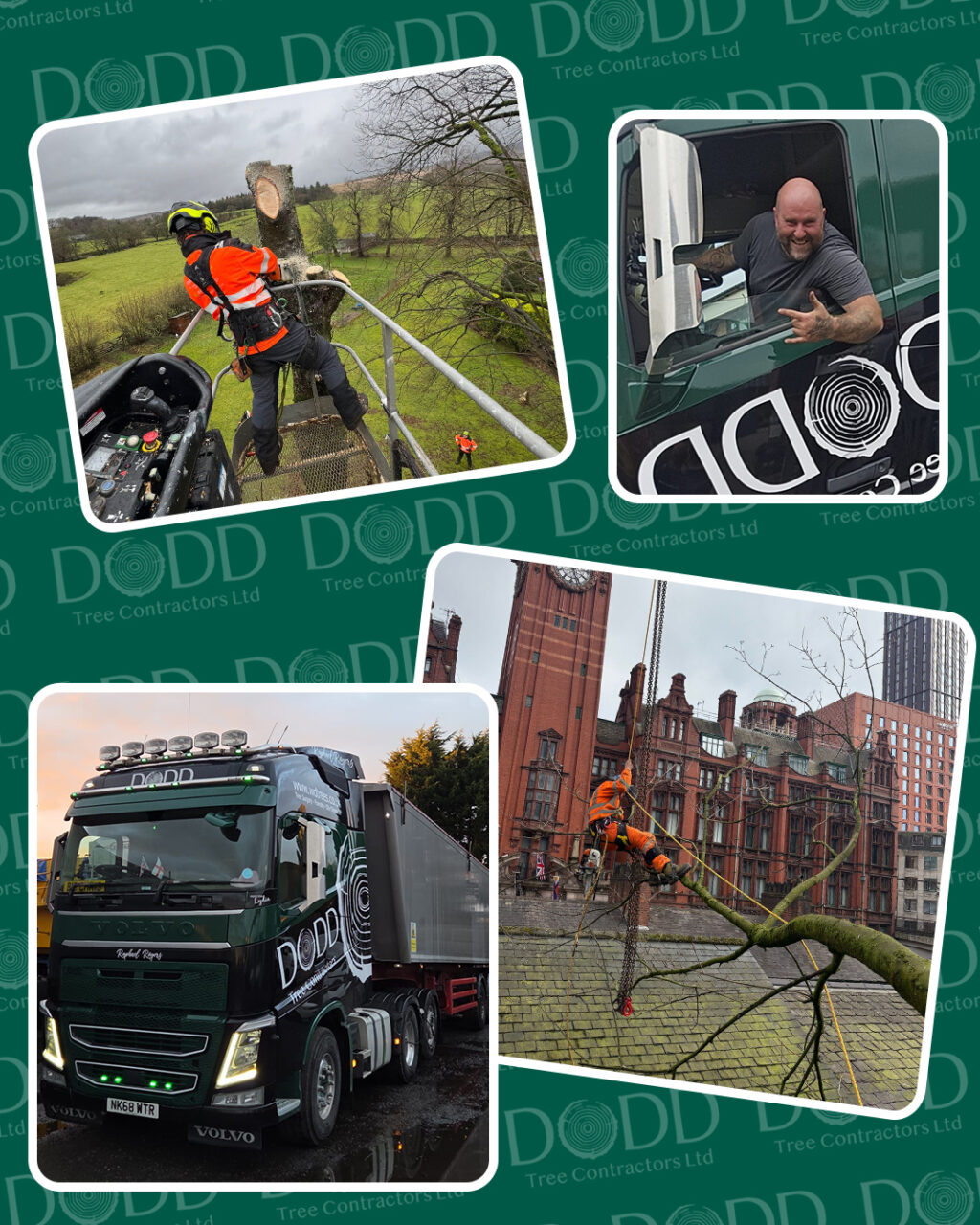 Instagram post from doddtreecontractors. This post is in position 4.