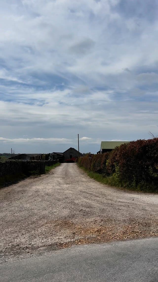 Instagram post from doddtreecontractors. This post is in position 9.