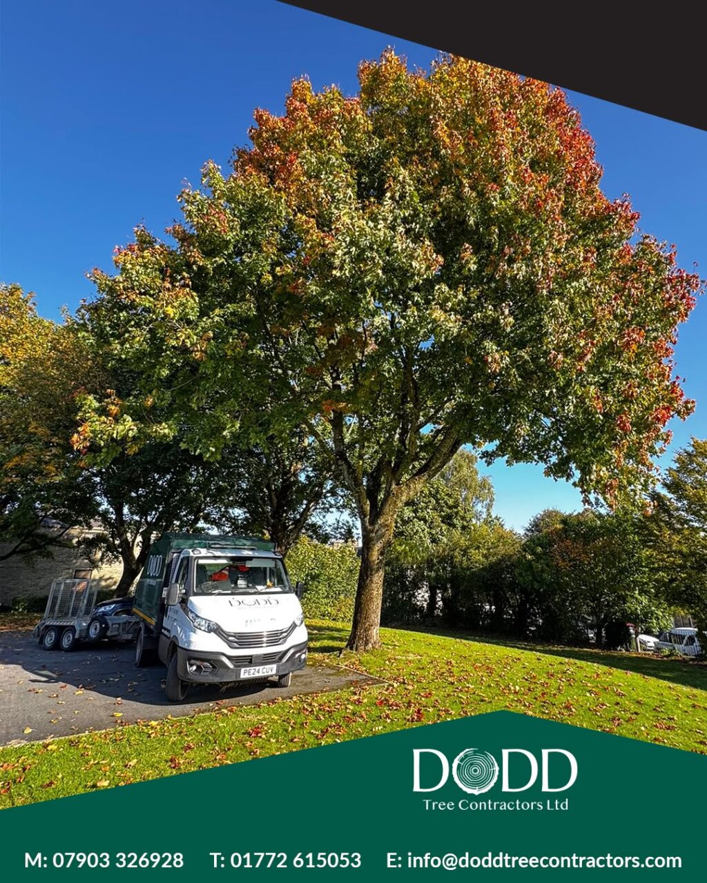 Instagram post from doddtreecontractors. This post is in position 11.