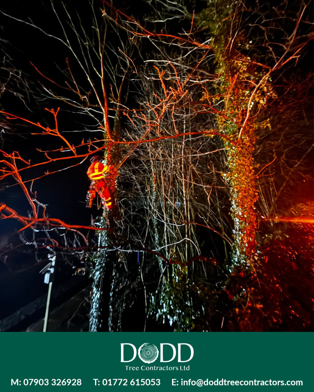 Instagram post from doddtreecontractors. This post is in position 0.