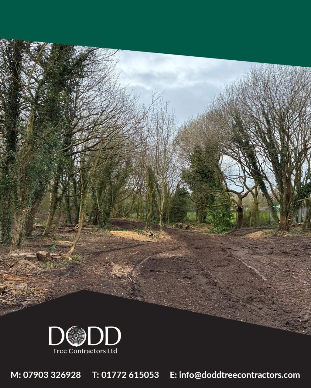 Instagram post from doddtreecontractors. This post is in position 2.