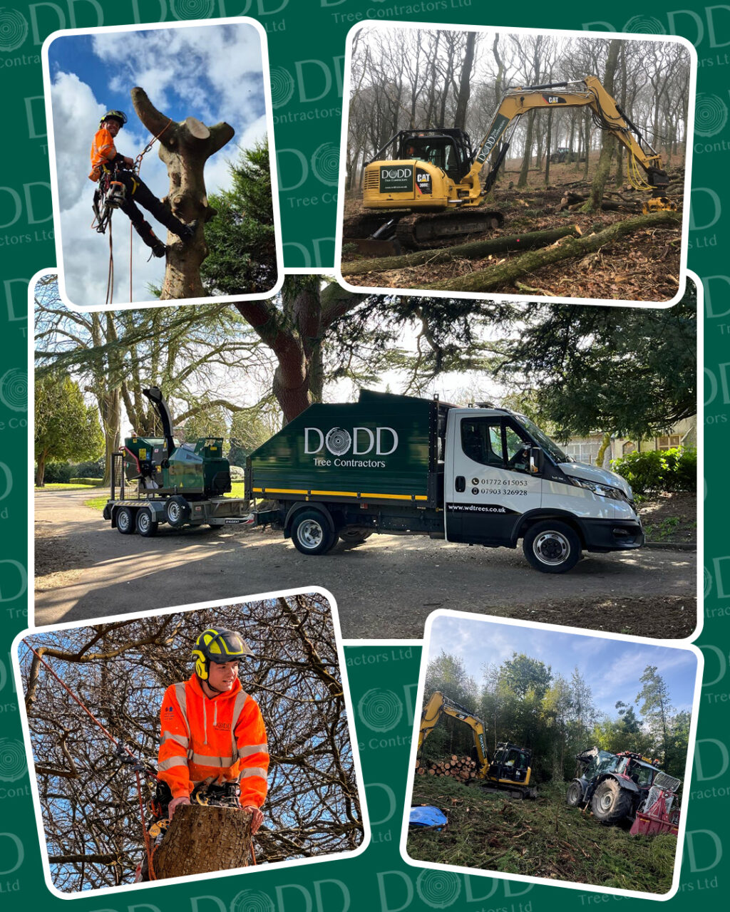 Instagram post from doddtreecontractors. This post is in position 3.