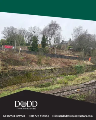 Instagram post from doddtreecontractors. This post is in position 10.