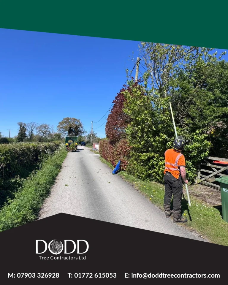 Instagram post from doddtreecontractors. This post is in position 1.