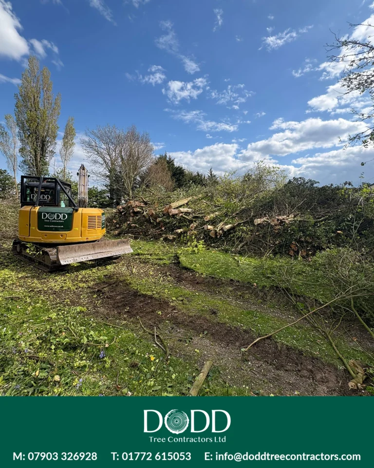 Instagram post from doddtreecontractors. This post is in position 1.
