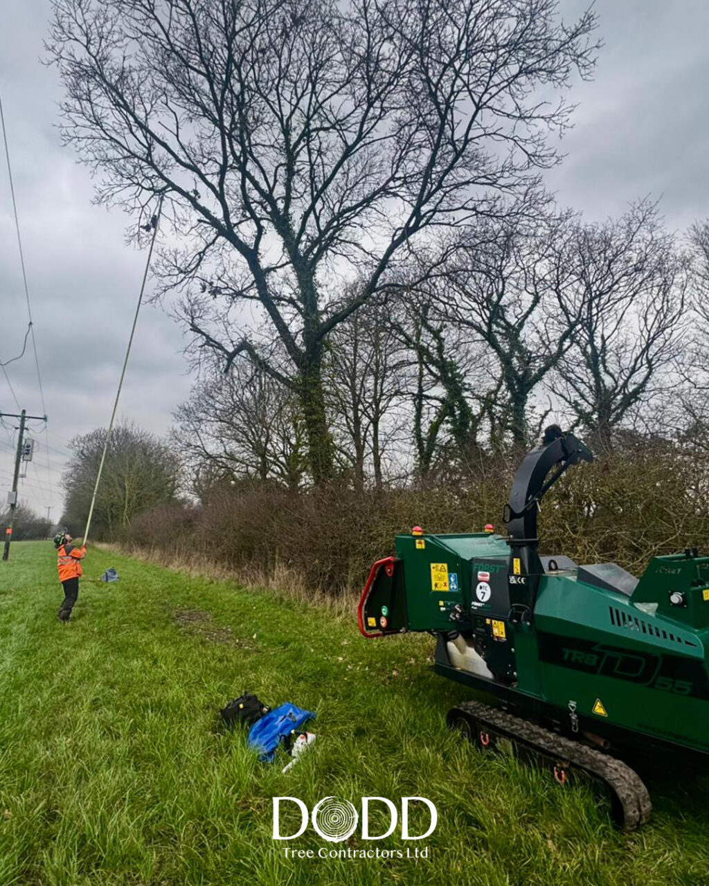 Instagram post from doddtreecontractors. This post is in position 0.