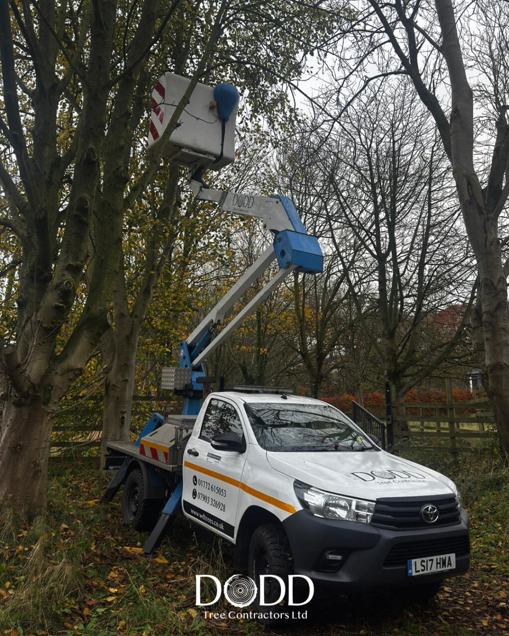 Instagram post from doddtreecontractors. This post is in position 0.